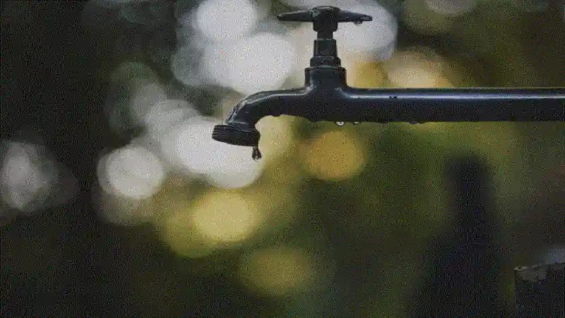 What Happens If a Water Leak Goes Undetected for Months?