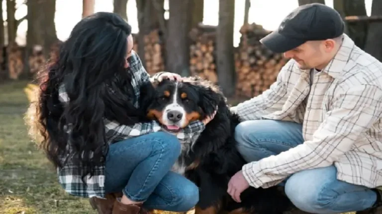 How Pet Owners Create Lasting Tributes After Losing a Companion