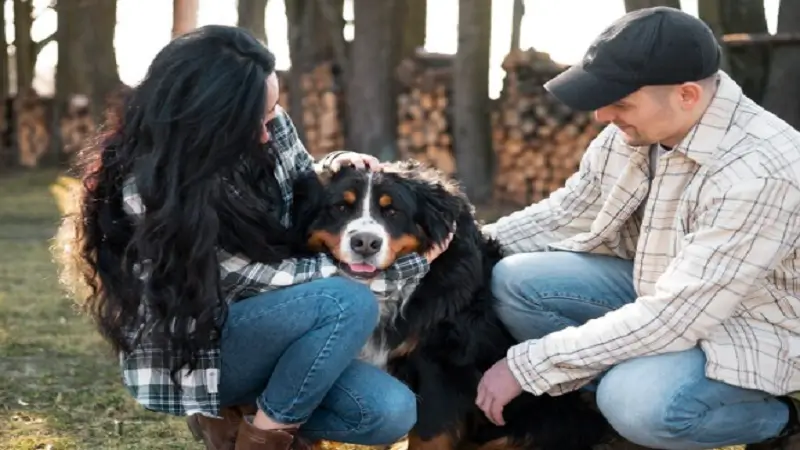How Pet Owners Create Lasting Tributes After Losing a Companion