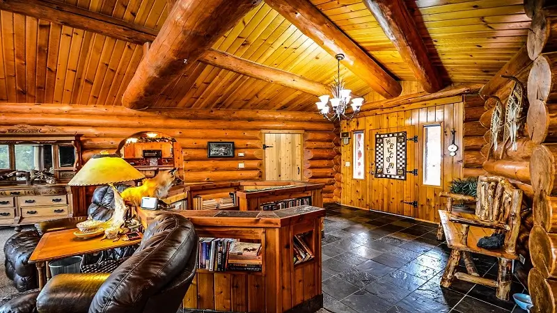Why Exposed Structural Timber Changes Interior Architecture